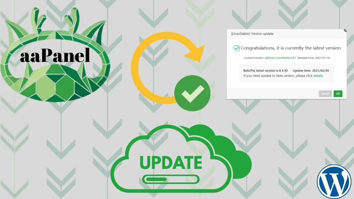 Panduan Untuk Memperbaharui Version aaPanel